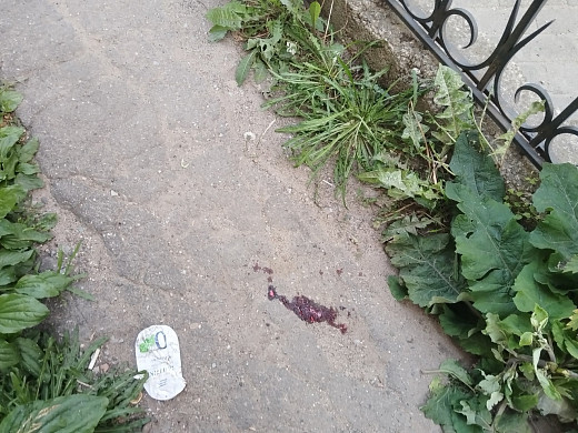 Шестилетняя девочка выпала из окна второго этажа в Иванове